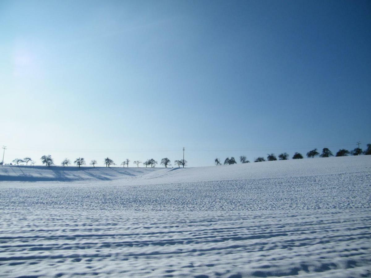 Ferien Vom Ich, Bayerischer Wald, Hotel & Restaurant Нойкирхен Экстерьер фото