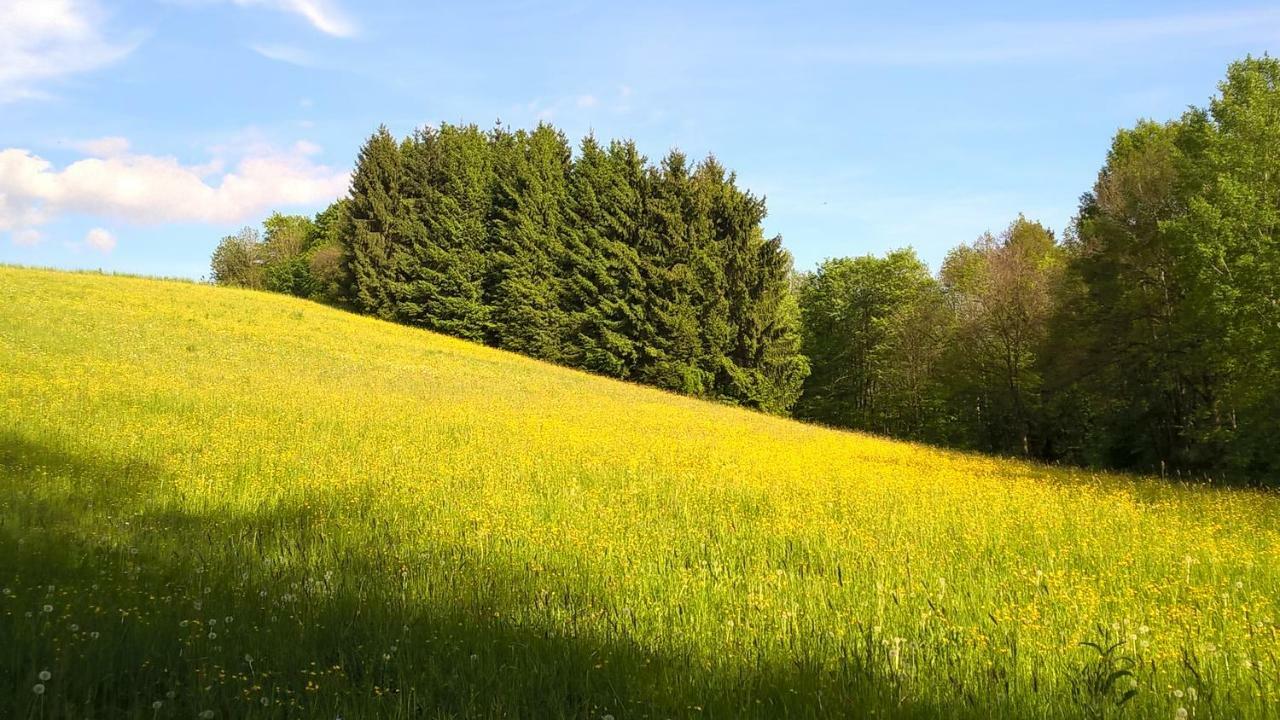 Ferien Vom Ich, Bayerischer Wald, Hotel & Restaurant Нойкирхен Экстерьер фото