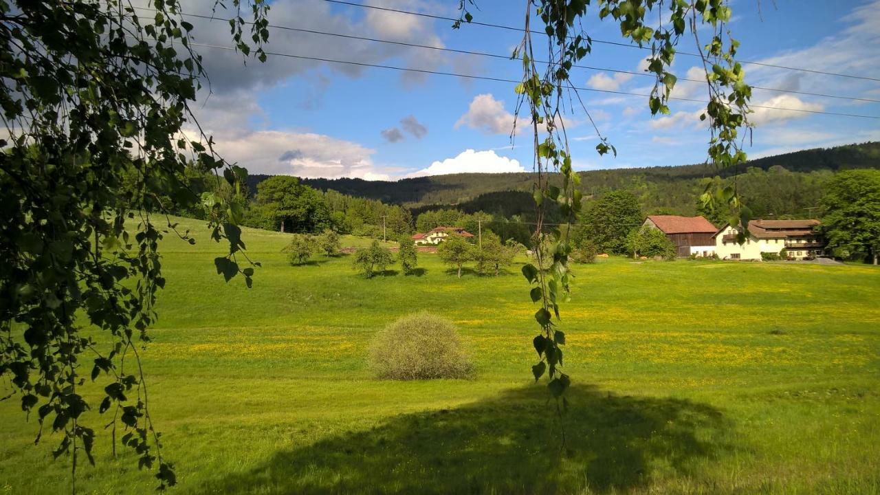 Ferien Vom Ich, Bayerischer Wald, Hotel & Restaurant Нойкирхен Экстерьер фото